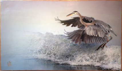 Heron Dance (long version) Heron Dance (long version)
